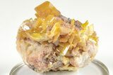 Lustrous, Yellow-Orange Wulfenite Cluster- La Morita Mine, Mexico #205011-1